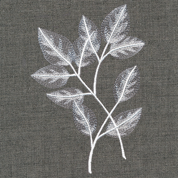 Sheer Beauty Botanicals - Rose Leaves