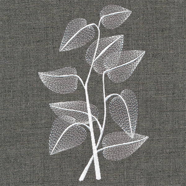 Sheer Beauty Botanicals - Sunflower Leaves