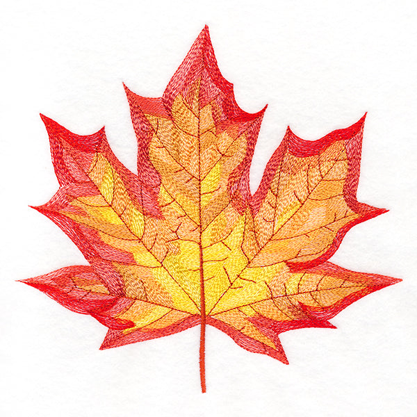 Magnificent Maple Leaf