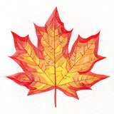 Magnificent Maple Leaf