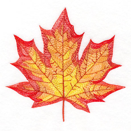 Magnificent Maple Leaf