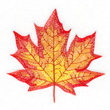 Magnificent Maple Leaf