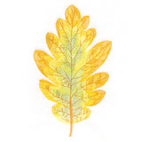 Exquisite Oak Leaf