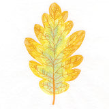 Exquisite Oak Leaf