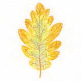 Exquisite Oak Leaf