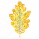 Exquisite Oak Leaf