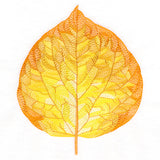 Radiant Aspen Leaf