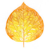 Radiant Aspen Leaf