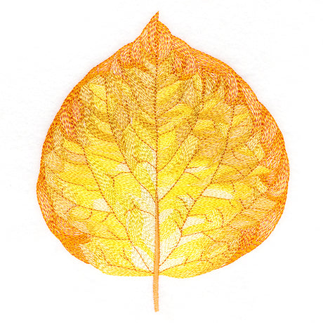 Radiant Aspen Leaf
