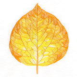 Radiant Aspen Leaf