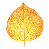 Radiant Aspen Leaf