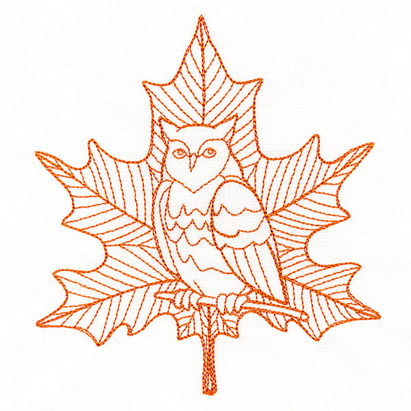 Majestic Owl Maple Leaf