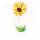 Long-Stemmed Black-Eyed Susan