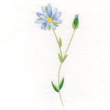 Long-Stemmed Daisy