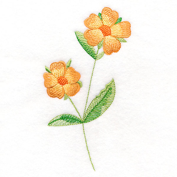 Long-Stemmed Wild Rose