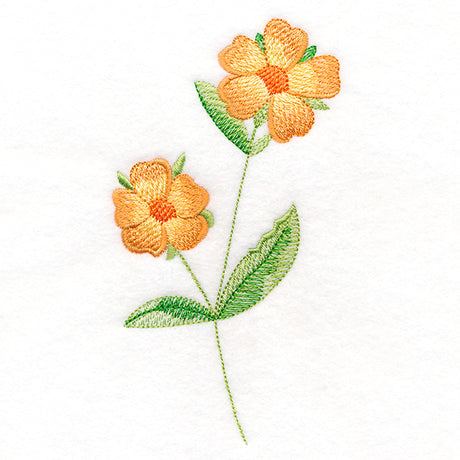 Long-Stemmed Wild Rose