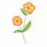 Long-Stemmed Wild Rose