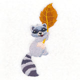 Up and Autumn Raccoon
