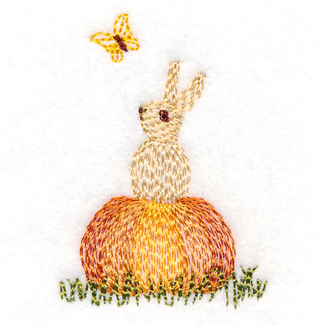 Adorable Pumpkin Bunny