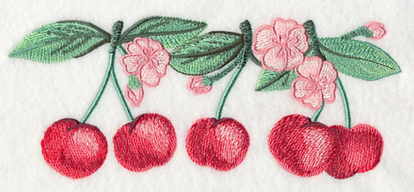 Cherry Blossoms Border in Watercolor