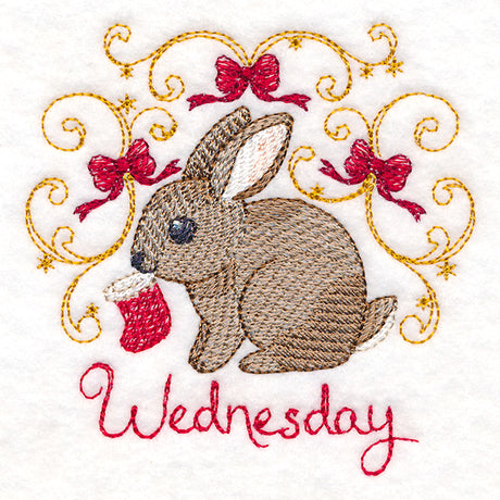 Christmas Bunny on Wednesday