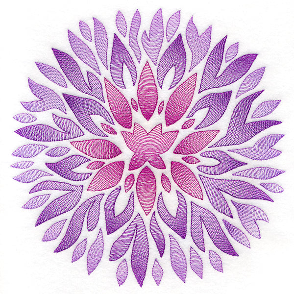 Fanciful Fall Chrysanthemum