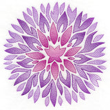 Fanciful Fall Chrysanthemum