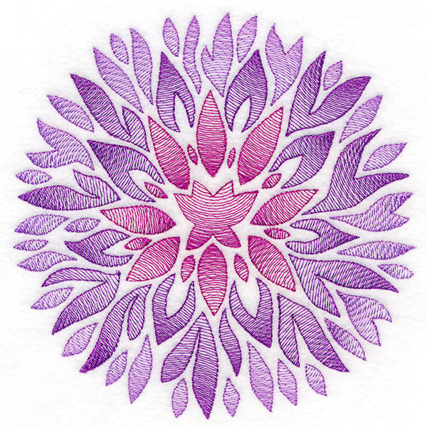 Fanciful Fall Chrysanthemum