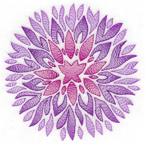 Fanciful Fall Chrysanthemum