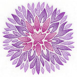 Fanciful Fall Chrysanthemum