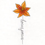 Hocus Pocus Bloom Lily