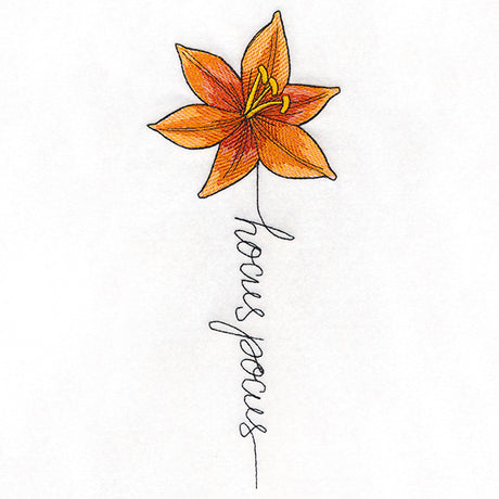 Hocus Pocus Bloom Lily