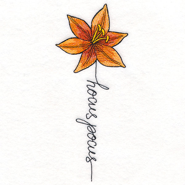 Hocus Pocus Bloom Lily