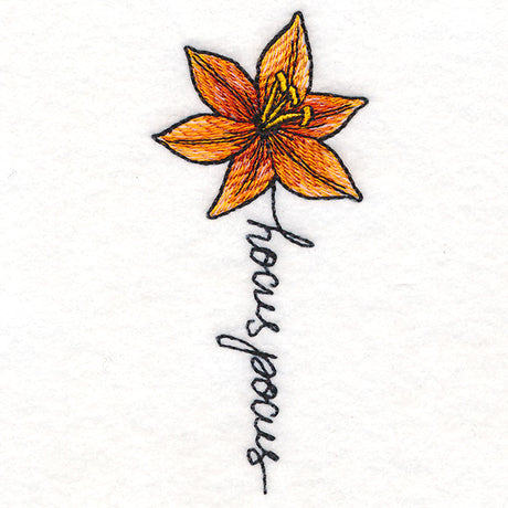 Hocus Pocus Bloom Lily