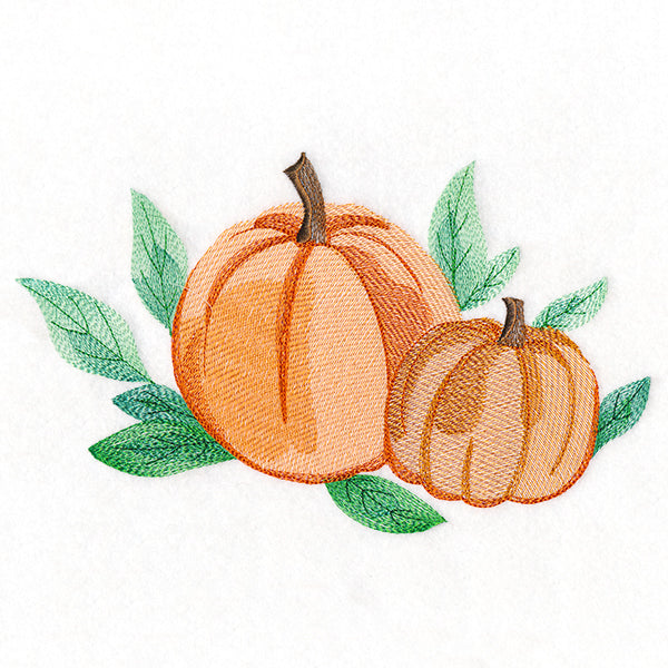 Sweet Pumpkin Pair