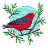 Perfectly Perched Sweet Scarlet Tanager