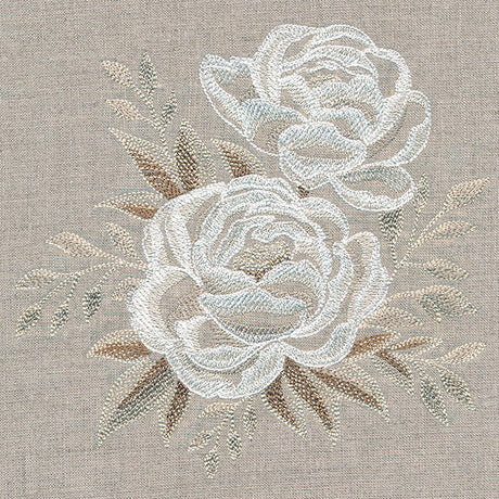 Elegance in Bloom Peonies