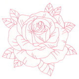 Flourishing Beauty Rose (Vintage)