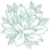 Flourishing Beauty Lotus (Vintage)