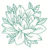 Flourishing Beauty Lotus (Vintage)