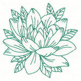 Flourishing Beauty Lotus (Vintage)