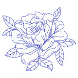 Flourishing Beauty Peony (Vintage)