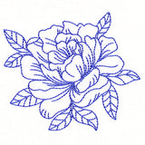 Flourishing Beauty Peony (Vintage)