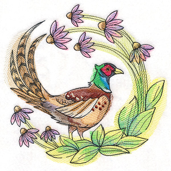 Coneflower Blooms Pheasant