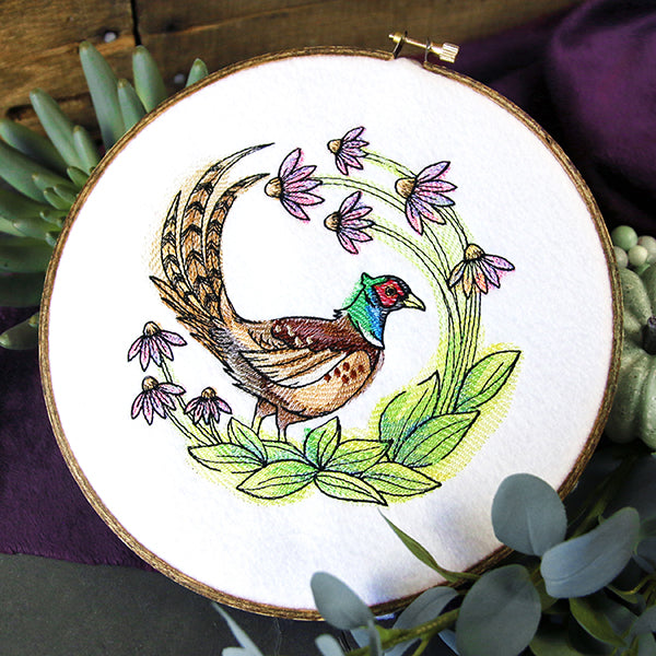 Coneflower Blooms Pheasant