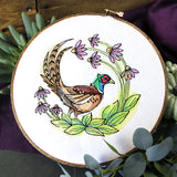 Coneflower Blooms Pheasant