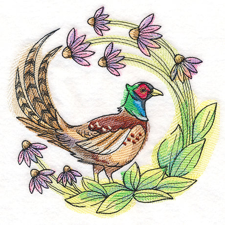 Coneflower Blooms Pheasant