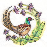 Coneflower Blooms Pheasant