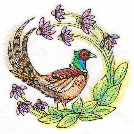 Coneflower Blooms Pheasant