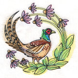 Coneflower Blooms Pheasant